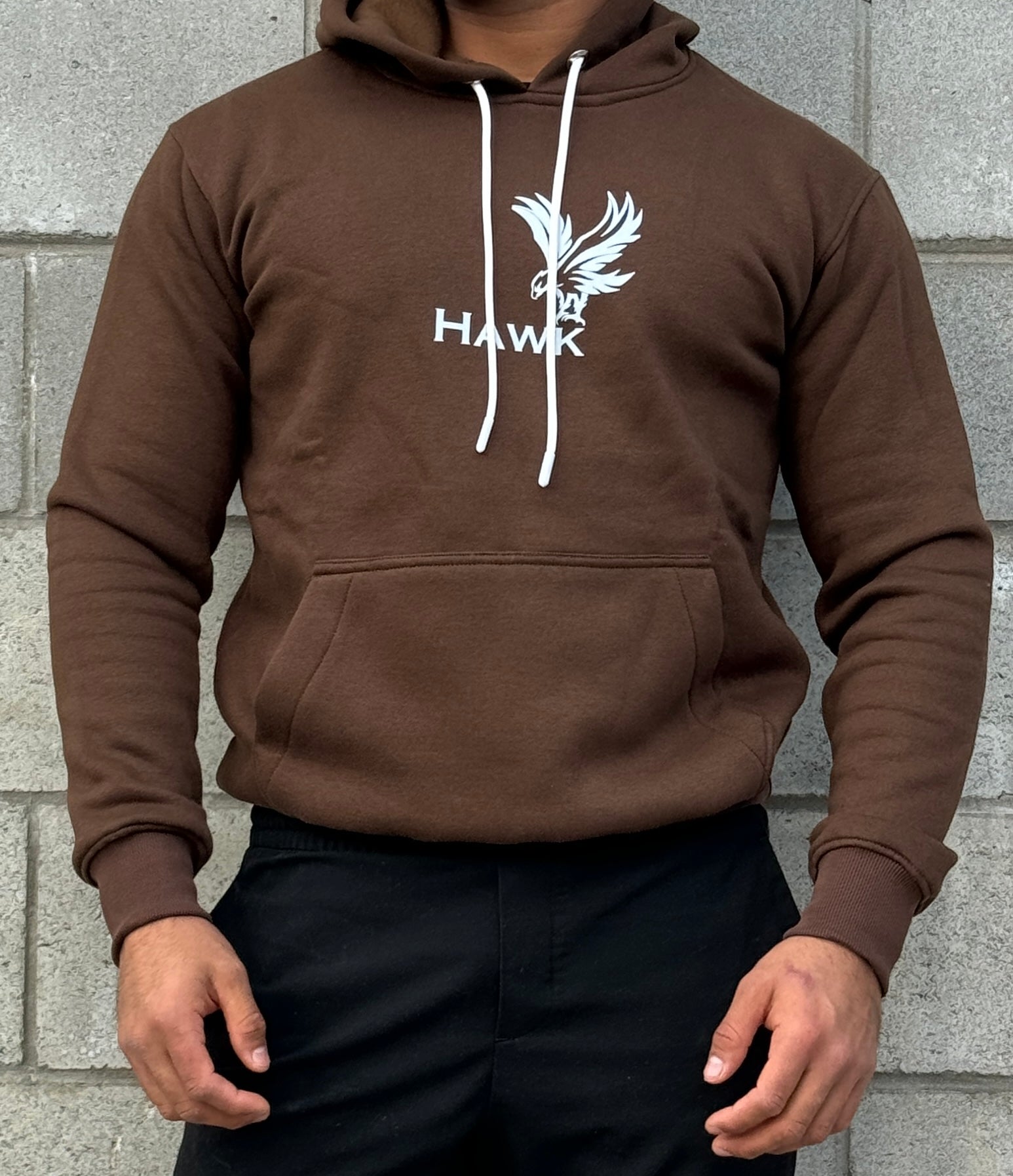 Big hawk velvet hoodie online